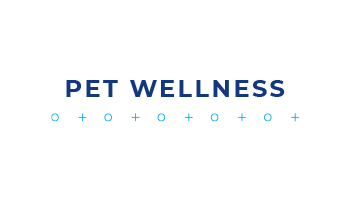 pet wellness